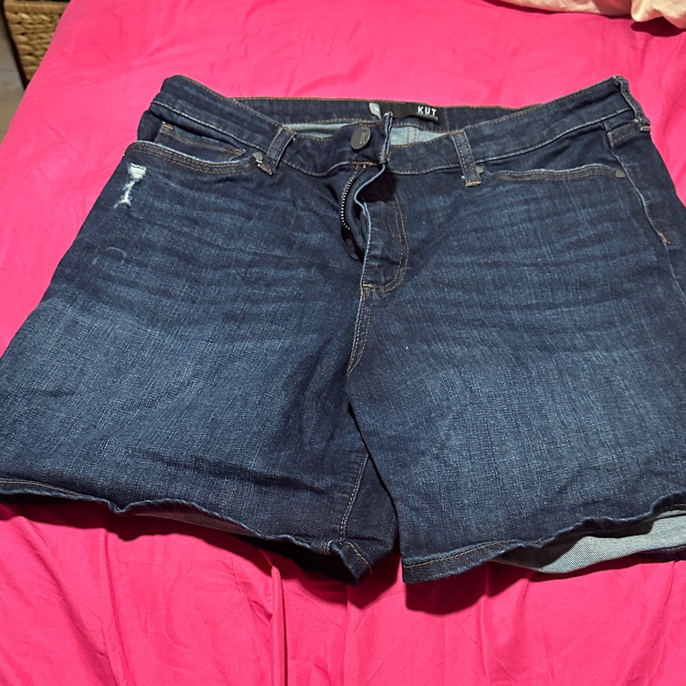 Kut from the Kloth Indigo Denim Shorts